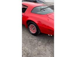 1979 Pontiac Firebird Trans Am (CC-2111290) for sale in Cadillac, Michigan