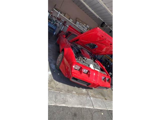 1979 Pontiac Firebird Trans Am (CC-2111290) for sale in Cadillac, Michigan