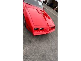 1979 Pontiac Firebird Trans Am (CC-2111290) for sale in Cadillac, Michigan