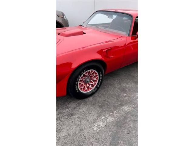1979 Pontiac Firebird Trans Am (CC-2111290) for sale in Cadillac, Michigan