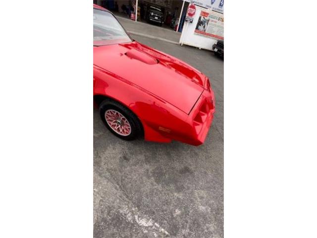 1979 Pontiac Firebird Trans Am (CC-2111290) for sale in Cadillac, Michigan