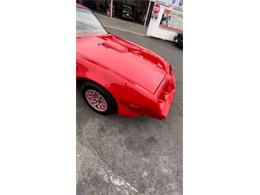 1979 Pontiac Firebird Trans Am (CC-2111290) for sale in Cadillac, Michigan