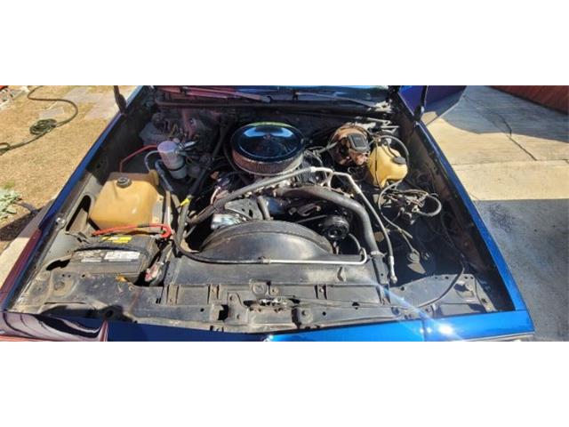 1980 Chevrolet El Camino (CC-2111296) for sale in Cadillac, Michigan
