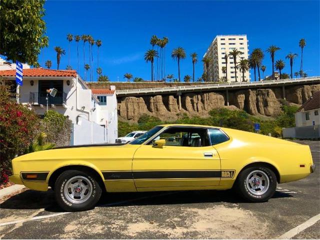 1973 Ford Mustang (CC-2111317) for sale in Cadillac, Michigan