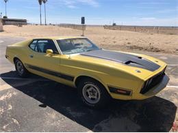 1973 Ford Mustang (CC-2111317) for sale in Cadillac, Michigan