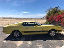 1973 Ford Mustang (CC-2111317) for sale in Cadillac, Michigan