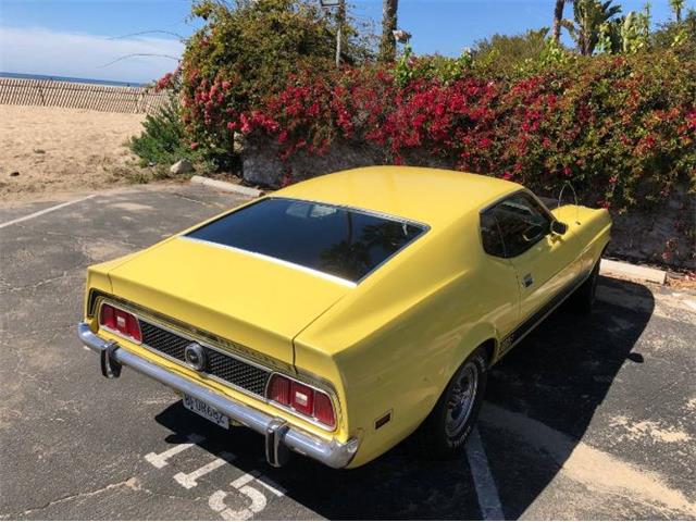 1973 Ford Mustang (CC-2111317) for sale in Cadillac, Michigan