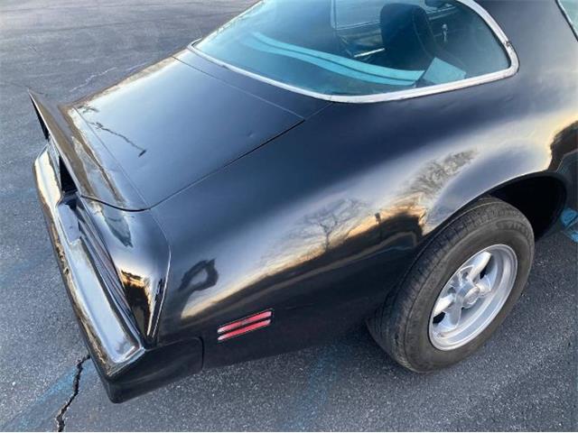 1978 Pontiac Firebird (CC-2111332) for sale in Cadillac, Michigan