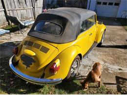 1971 Volkswagen Beetle (CC-2111349) for sale in Cadillac, Michigan