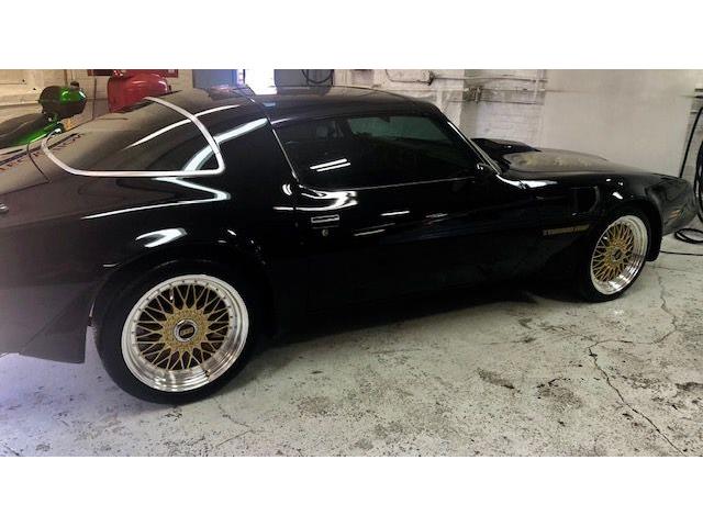 1979 Pontiac Firebird Trans Am (CC-2110135) for sale in Cadillac, Michigan