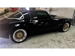 1979 Pontiac Firebird Trans Am (CC-2110135) for sale in Cadillac, Michigan