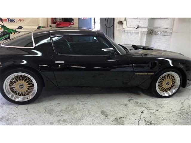1979 Pontiac Firebird Trans Am (CC-2110135) for sale in Cadillac, Michigan