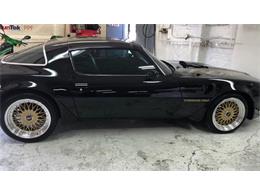 1979 Pontiac Firebird Trans Am (CC-2110135) for sale in Cadillac, Michigan