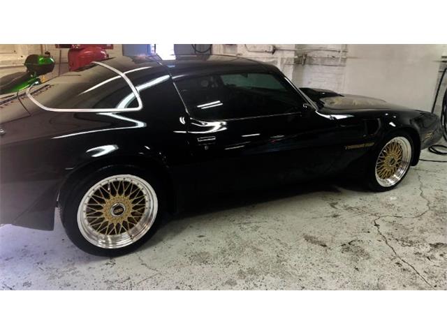 1979 Pontiac Firebird Trans Am (CC-2110135) for sale in Cadillac, Michigan