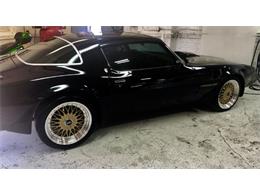 1979 Pontiac Firebird Trans Am (CC-2110135) for sale in Cadillac, Michigan