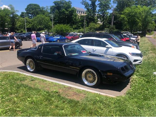 1979 Pontiac Firebird Trans Am (CC-2110135) for sale in Cadillac, Michigan