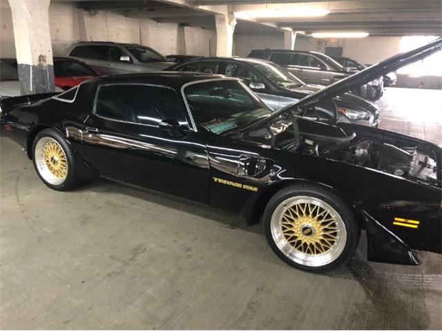 1979 Pontiac Firebird Trans Am (CC-2110135) for sale in Cadillac, Michigan