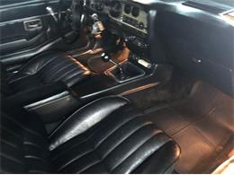 1979 Pontiac Firebird Trans Am (CC-2110135) for sale in Cadillac, Michigan