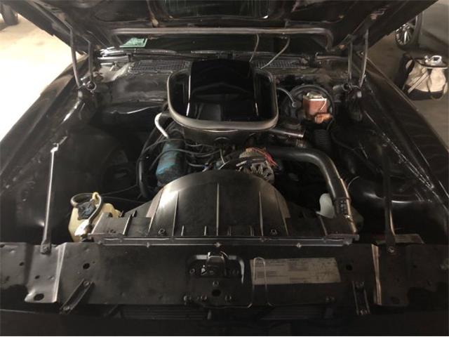 1979 Pontiac Firebird Trans Am (CC-2110135) for sale in Cadillac, Michigan