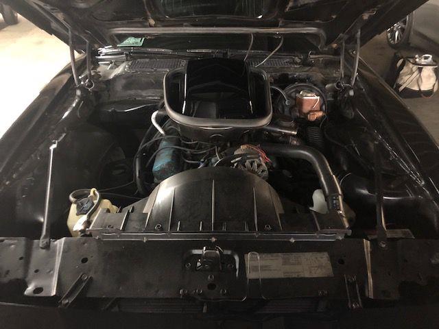 1979 Pontiac Firebird Trans Am (CC-2110135) for sale in Cadillac, Michigan