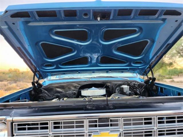 1977 Chevrolet Pickup (CC-2111364) for sale in Cadillac, Michigan