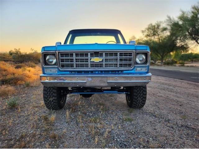 1977 Chevrolet Pickup (CC-2111364) for sale in Cadillac, Michigan