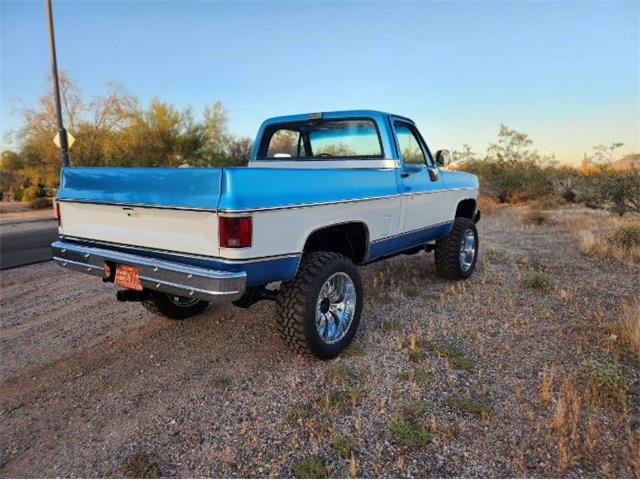 1977 Chevrolet Pickup (CC-2111364) for sale in Cadillac, Michigan