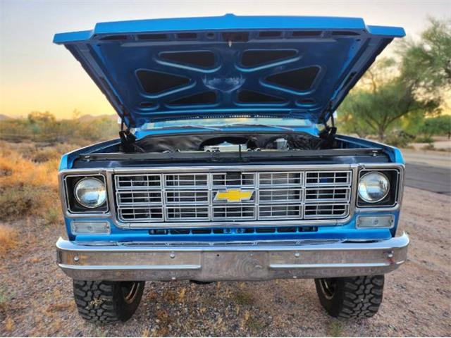 1977 Chevrolet Pickup (CC-2111364) for sale in Cadillac, Michigan