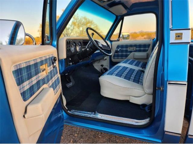 1977 Chevrolet Pickup (CC-2111364) for sale in Cadillac, Michigan