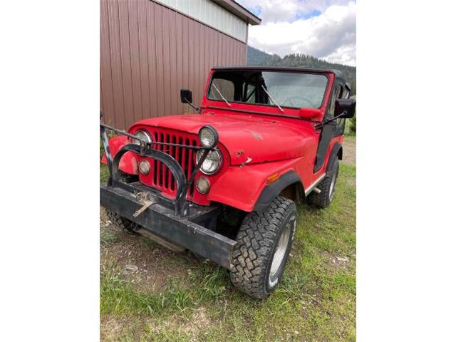 1973 Jeep CJ5 (CC-2111365) for sale in Cadillac, Michigan