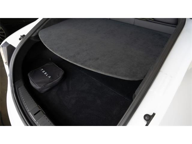 2021 Tesla Model S (CC-2111372) for sale in Cadillac, Michigan