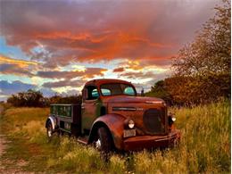1948 REO Speedwagon (CC-2111377) for sale in Cadillac, Michigan