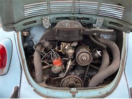 1971 Volkswagen Super Beetle (CC-2111384) for sale in Cadillac, Michigan