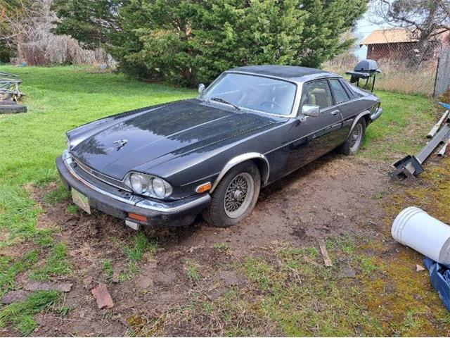 1989 Jaguar XJS (CC-2111386) for sale in Cadillac, Michigan