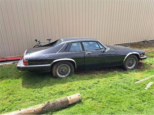 1989 Jaguar XJS (CC-2111386) for sale in Cadillac, Michigan