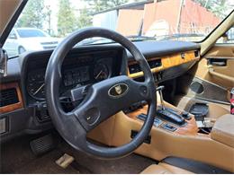 1989 Jaguar XJS (CC-2111386) for sale in Cadillac, Michigan