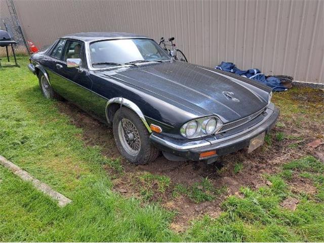 1989 Jaguar XJS (CC-2111386) for sale in Cadillac, Michigan