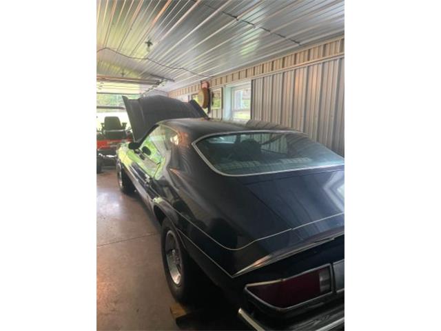 1974 Chevrolet Camaro (CC-2111390) for sale in Cadillac, Michigan