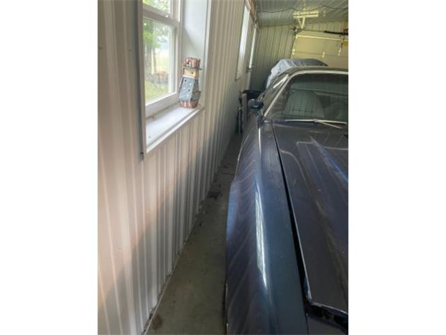 1974 Chevrolet Camaro (CC-2111390) for sale in Cadillac, Michigan