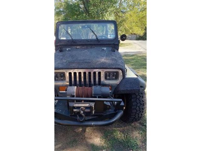1988 Jeep Wrangler (CC-2111399) for sale in Cadillac, Michigan