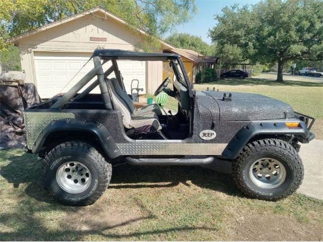 1988 Jeep Wrangler (CC-2111399) for sale in Cadillac, Michigan