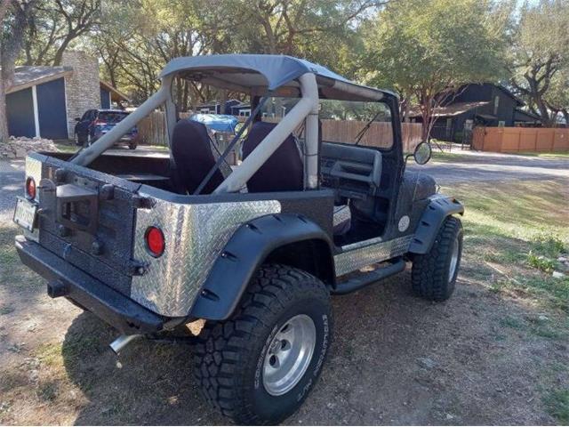 1988 Jeep Wrangler (CC-2111399) for sale in Cadillac, Michigan