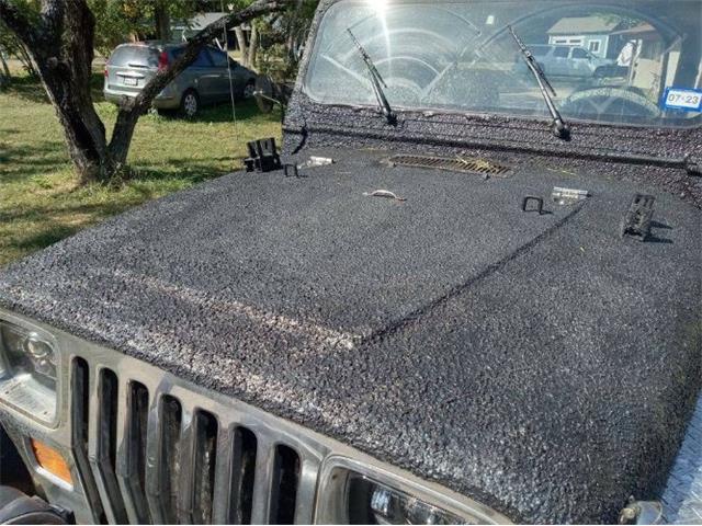 1988 Jeep Wrangler (CC-2111399) for sale in Cadillac, Michigan