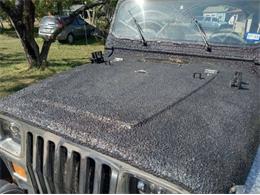 1988 Jeep Wrangler (CC-2111399) for sale in Cadillac, Michigan