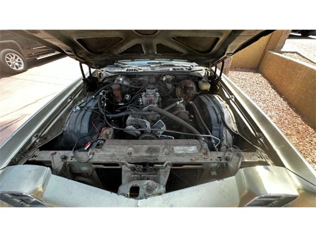 1977 Chevrolet Monte Carlo (CC-2111415) for sale in Cadillac, Michigan