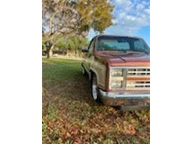1986 Chevrolet C10 (CC-2111416) for sale in Cadillac, Michigan
