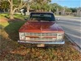 1986 Chevrolet C10 (CC-2111416) for sale in Cadillac, Michigan