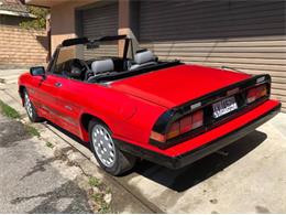1989 Alfa Romeo Quadrifoglio (CC-2111439) for sale in Cadillac, Michigan