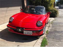 1989 Alfa Romeo Quadrifoglio (CC-2111439) for sale in Cadillac, Michigan