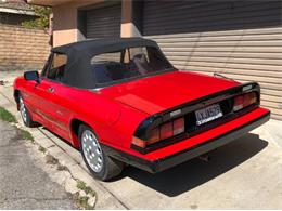 1989 Alfa Romeo Quadrifoglio (CC-2111439) for sale in Cadillac, Michigan